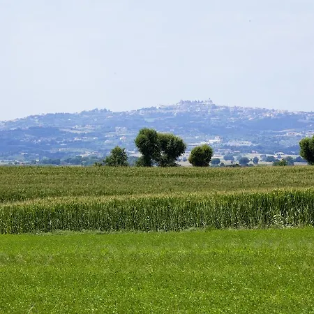 Ferento E Il Castagno * 维泰博