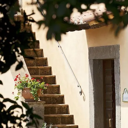 Ferento E Il Castagno