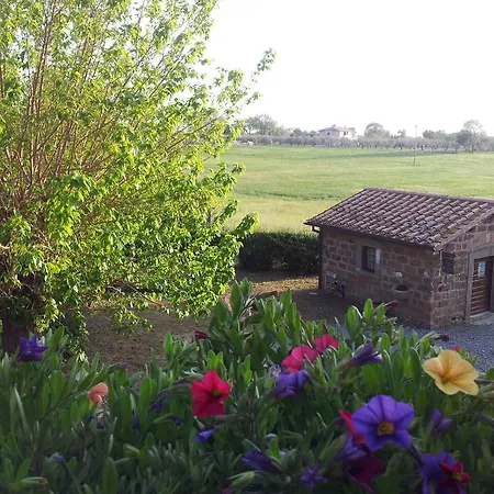 Ferento E Il Castagno Viterbo